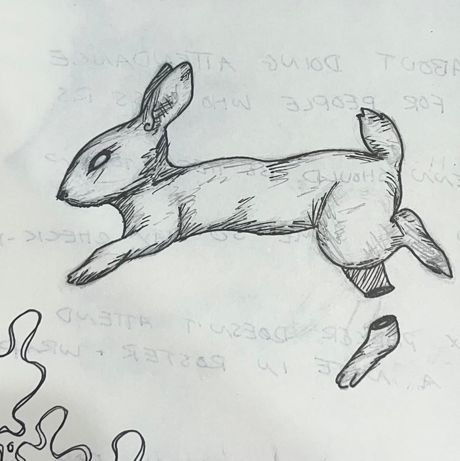 Bounce (Cecilia Donnelly)