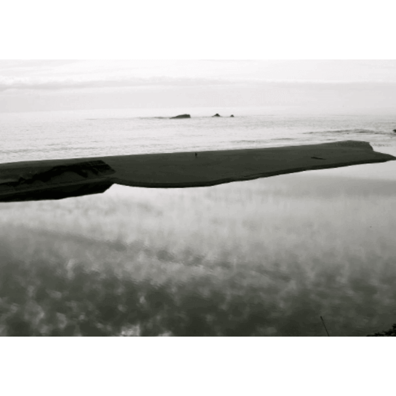 Chris-Tardio-Larchmont-2020