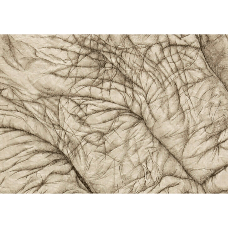 Kim-Anderson-LakeOswego-2021