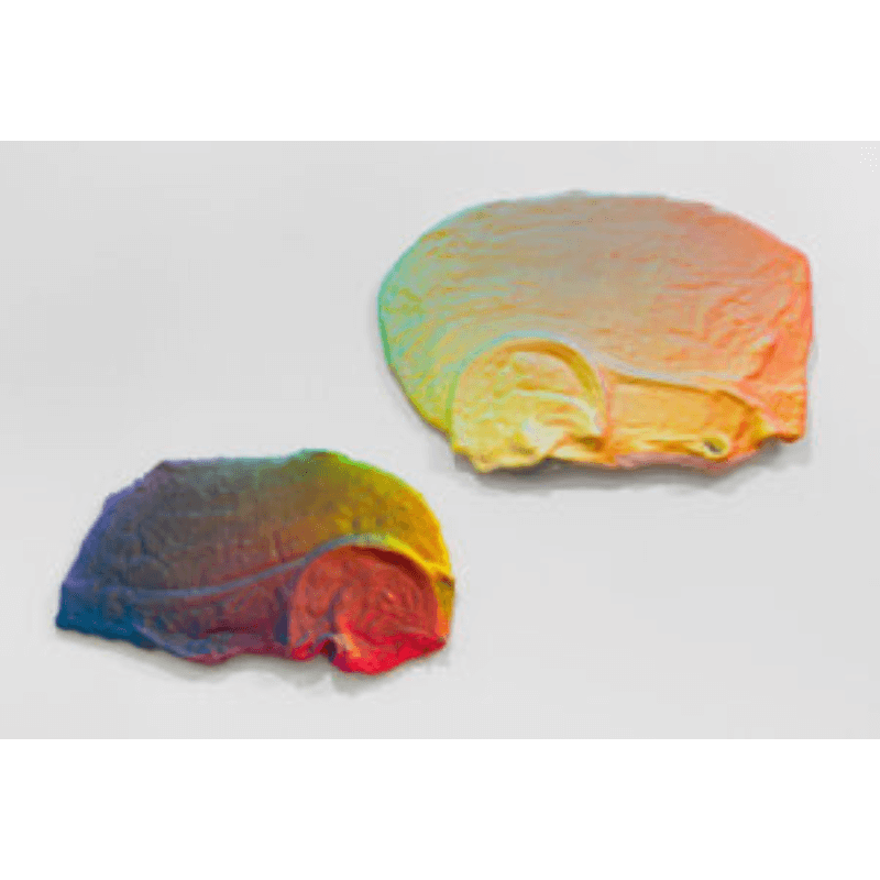 Rachel-Klinghoffer-Woodbury-2020