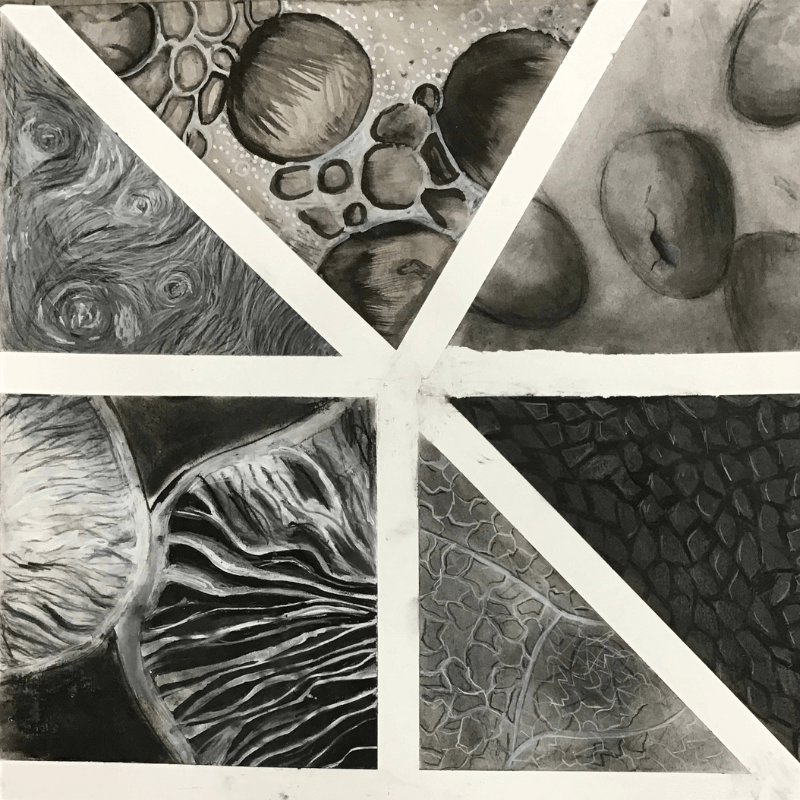 Untitled design - 2025-06-05T180245.280