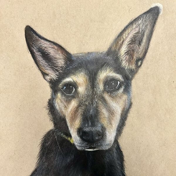 A photo of dog artwork by a one river educator