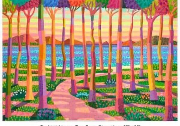 DanielHeidkamp-TreeGrove